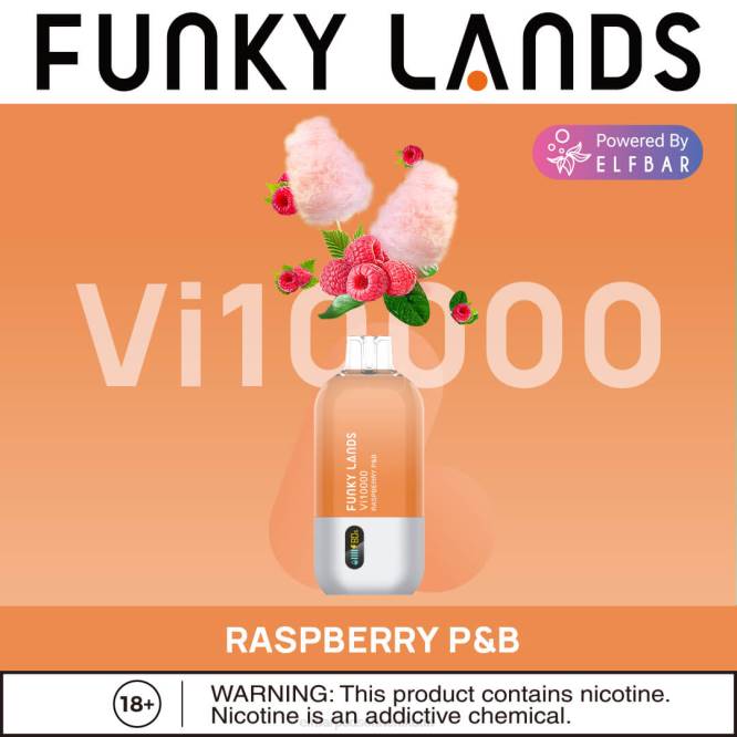 Funky Lands Einweg-Vape VI10000 Züge 6B6P167 ELFBAR - ELFBAR kaufen Himbeer-P&B